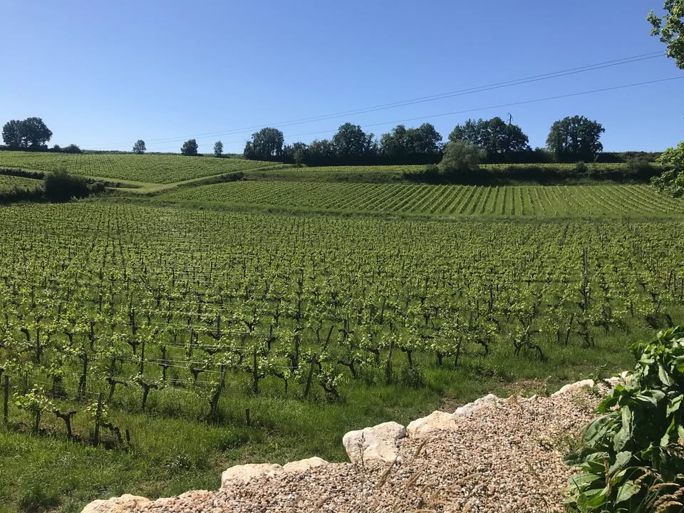 Nouvelle vie 2018