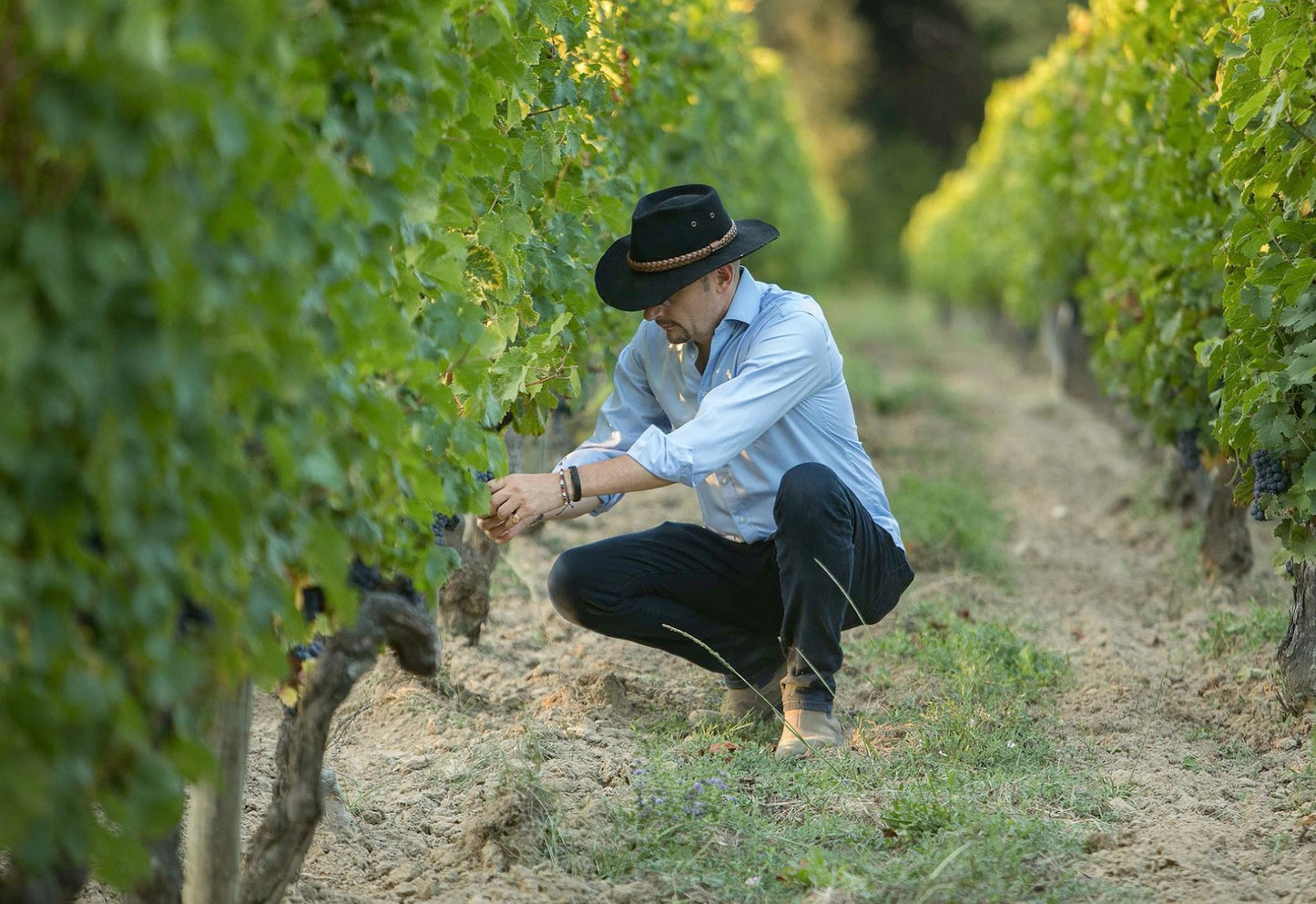 Pomerol Discovery Box