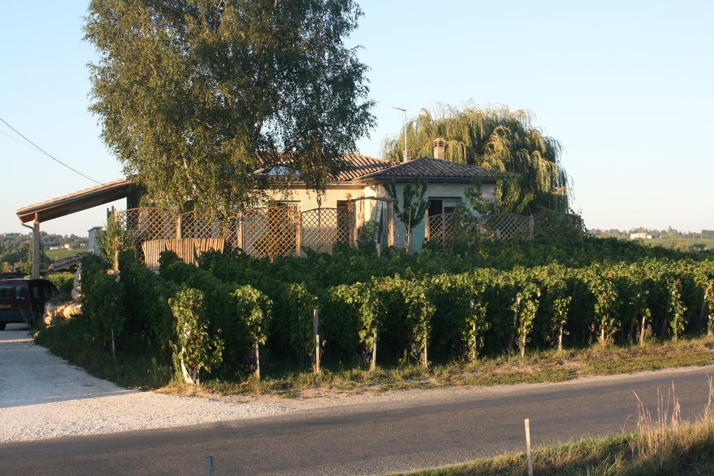 Clos Romanile 2019