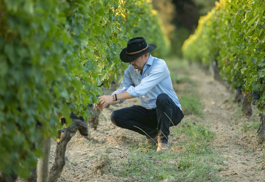 Pomerol Discovery Box